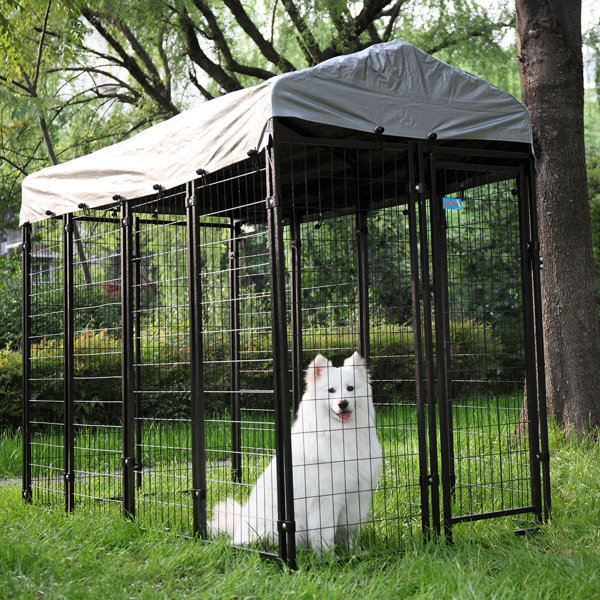 laurelview dog kennel