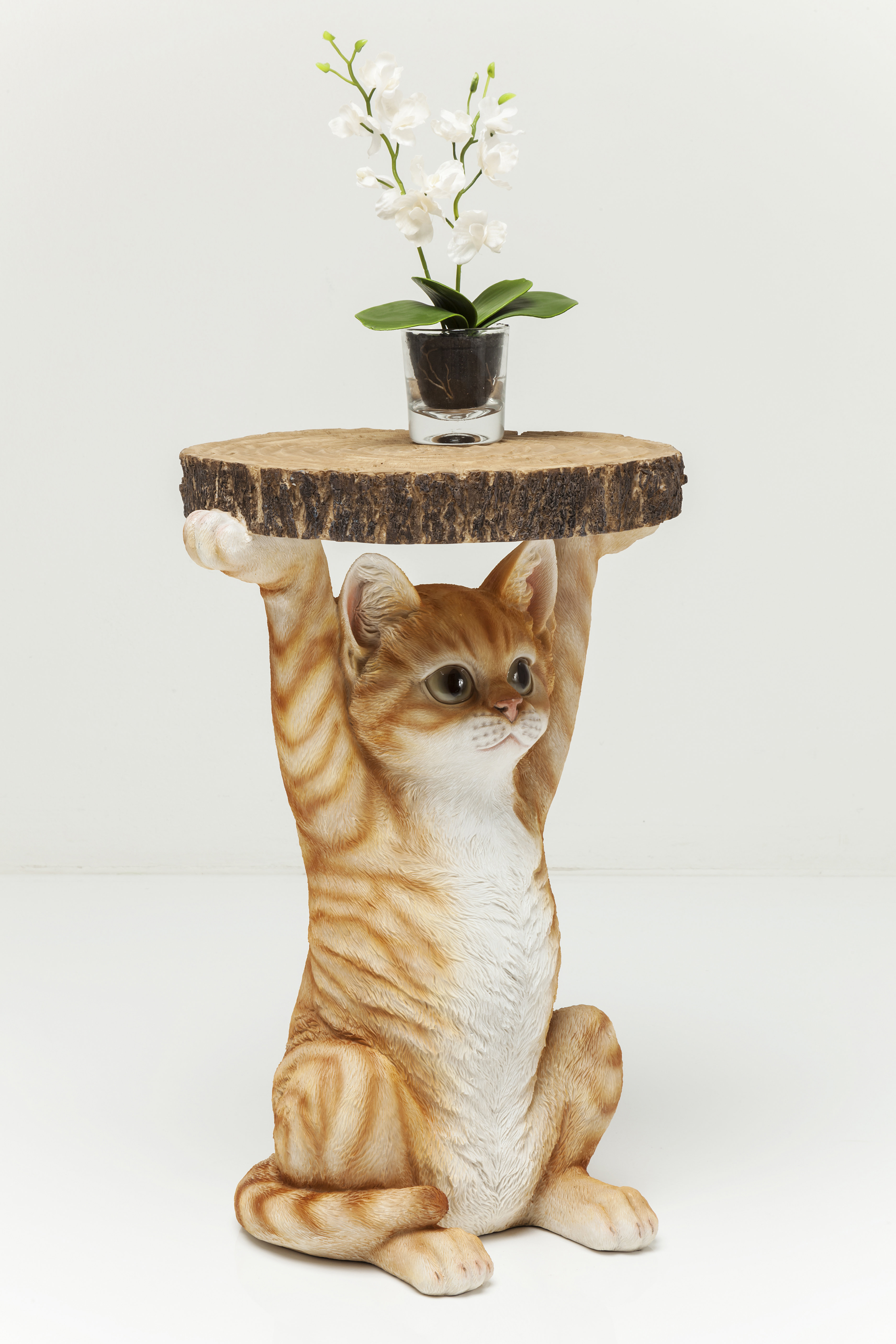 wayfair cat table