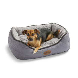 extra small dog beds