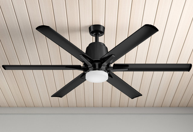 Ceiling Fans