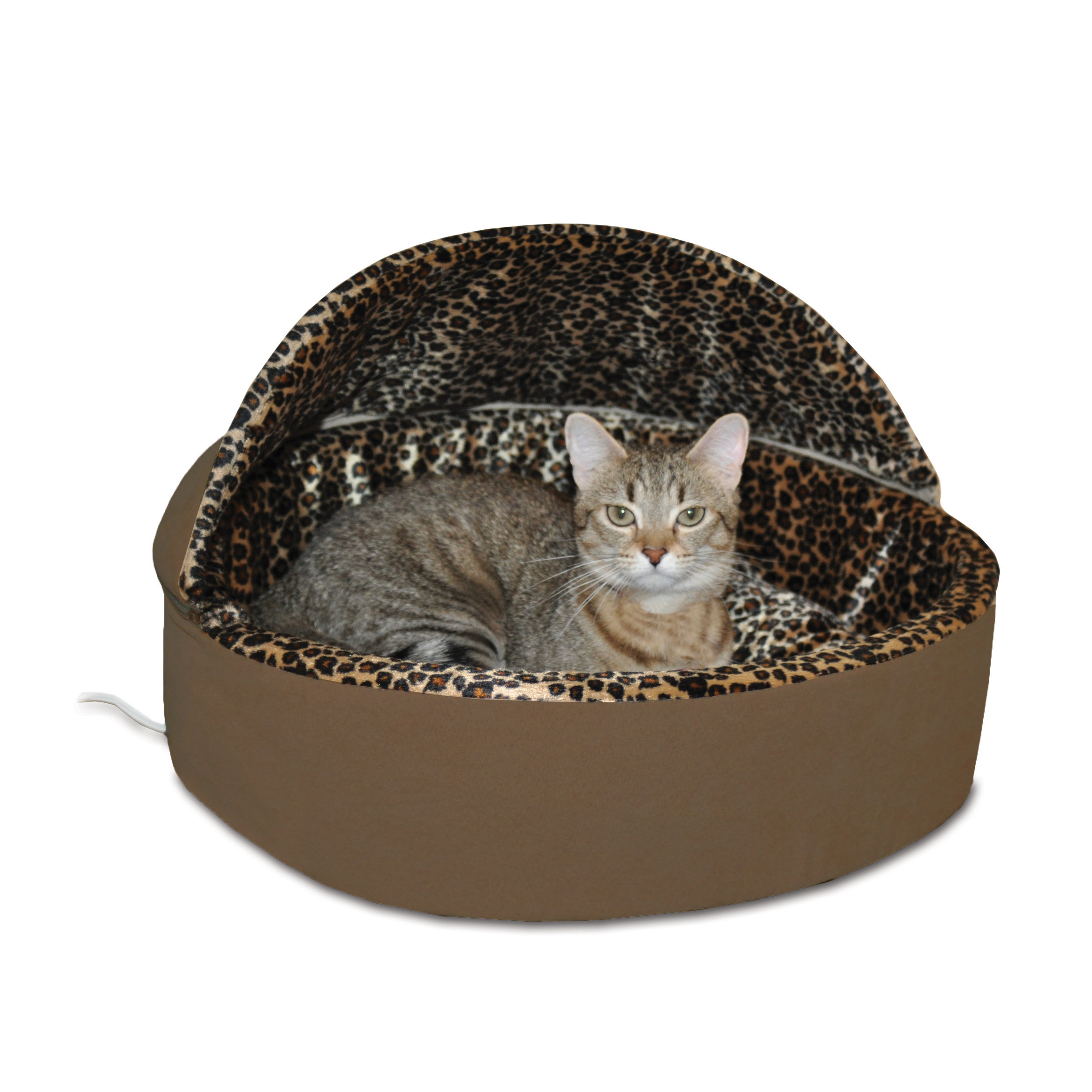 wayfair cat beds