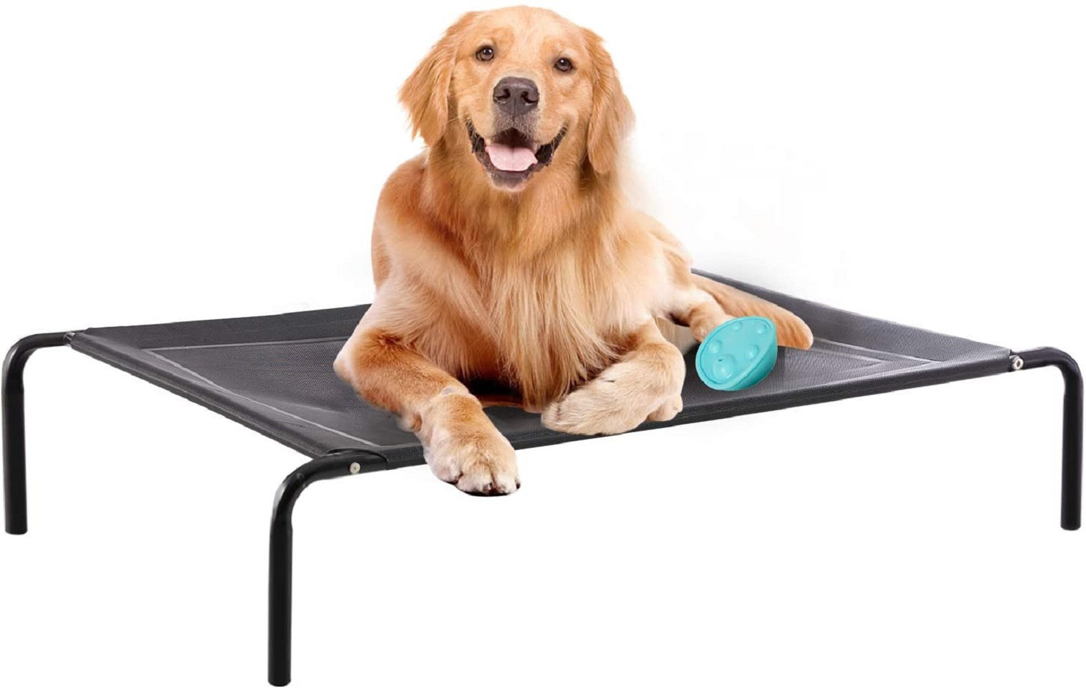 folding dog cot bed