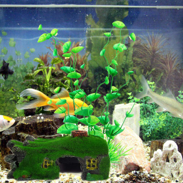 fish tank accessories